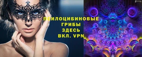 кокаин Каменка