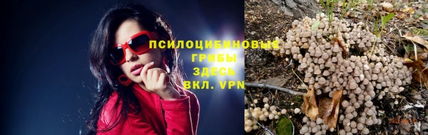 кокаин Каменка